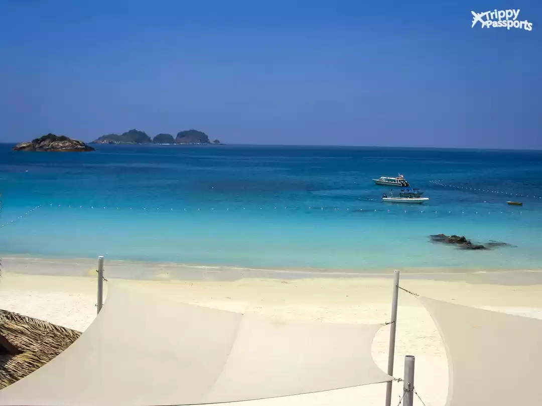 Photo of For Your Next Summer