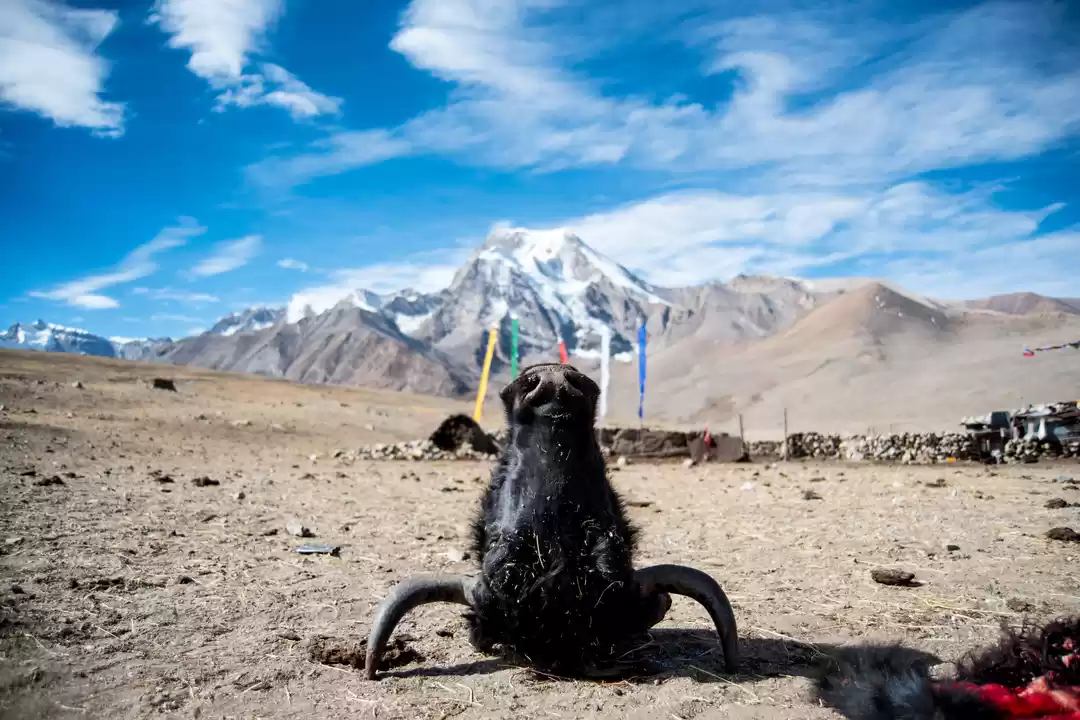 Photo of #BestTravelPictures
