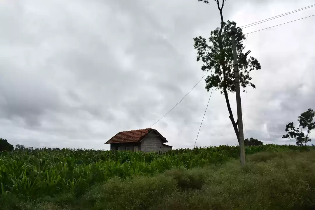 Photo of Road Trip to Bylakup