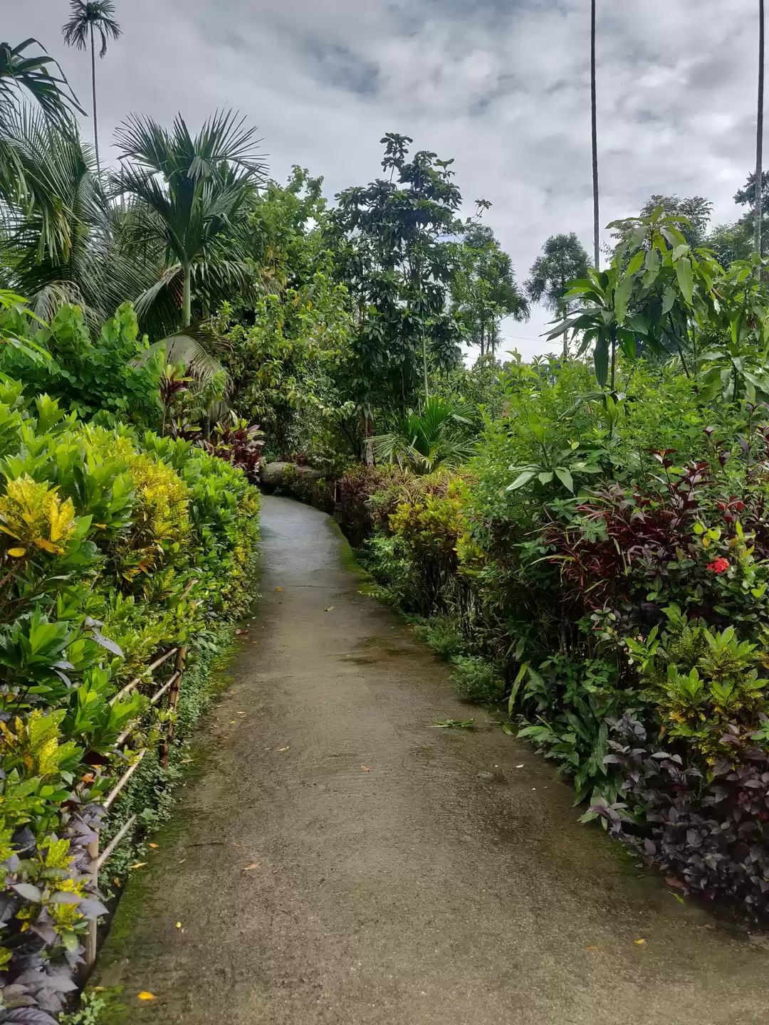 Photo of My Sojourn to Meghal