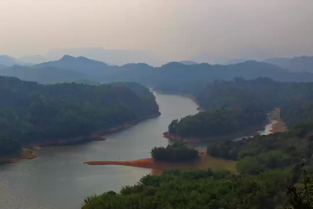 Photo of Munnar Sightseeing