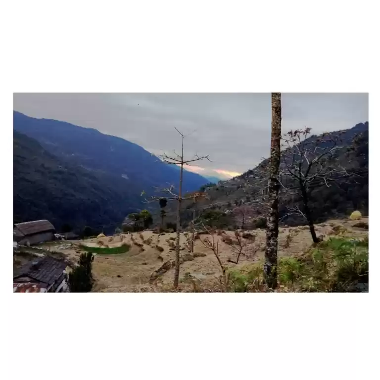 Photo of Solo trek to annapur