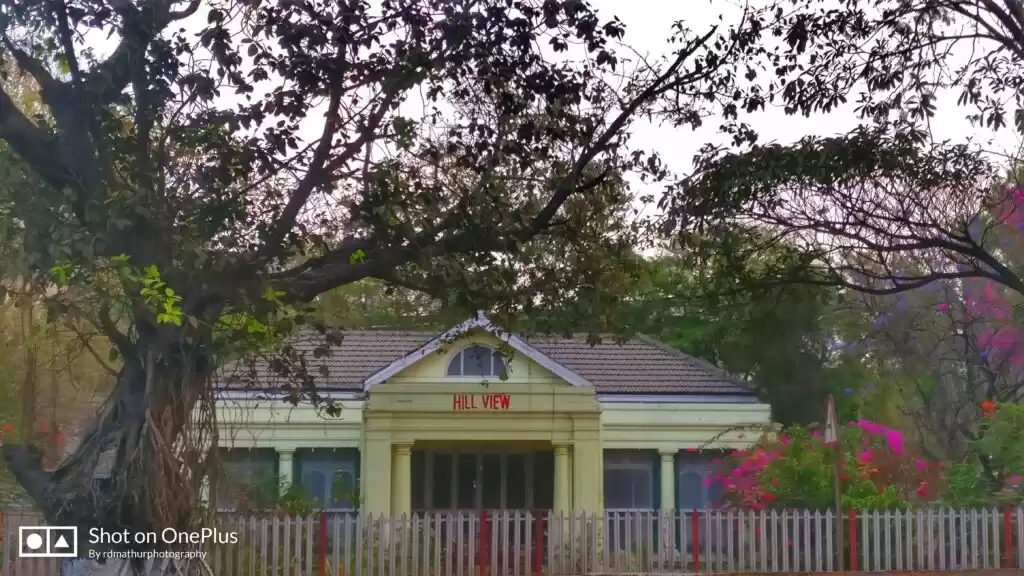 Photo of Changing face to Pun