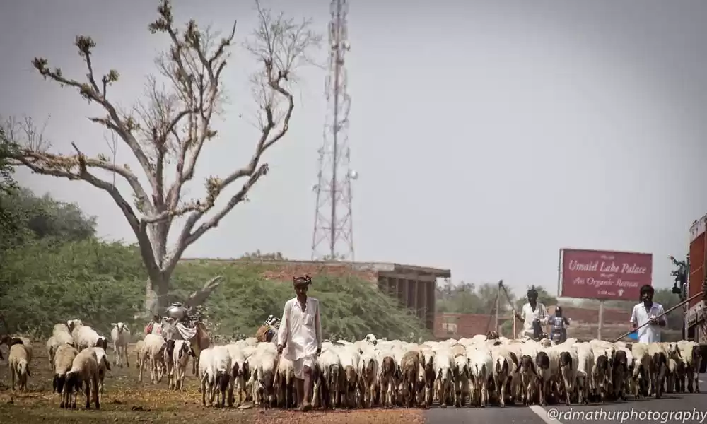 Photo of An audience with GOD