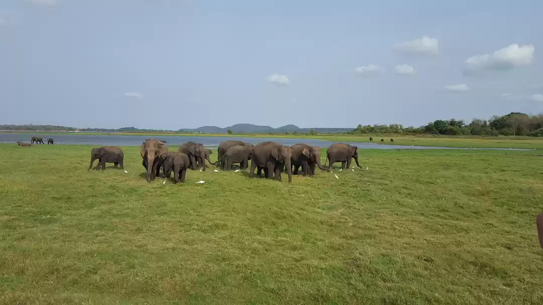 Photo of Beautiful Sri Lanka