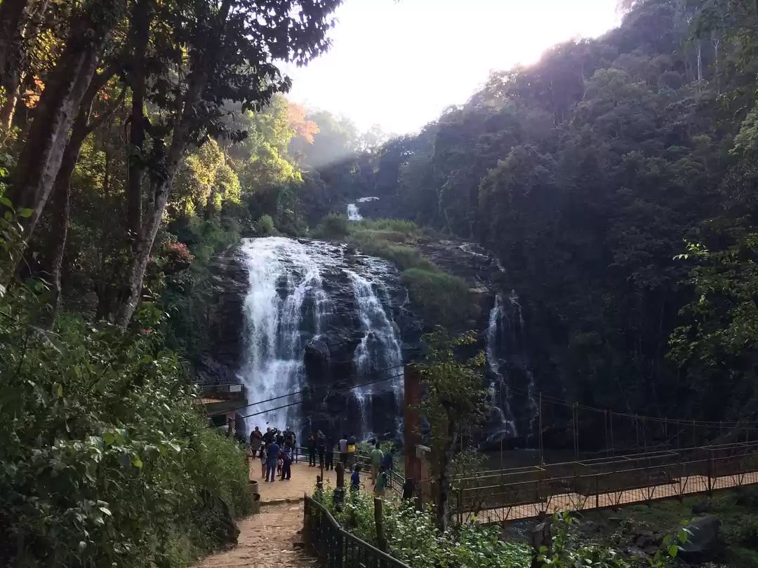 Photo of Coorg Trip !!