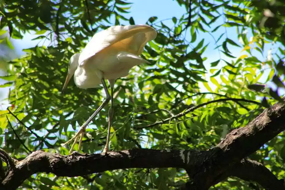 Photo of Mahabalipuram- Girls