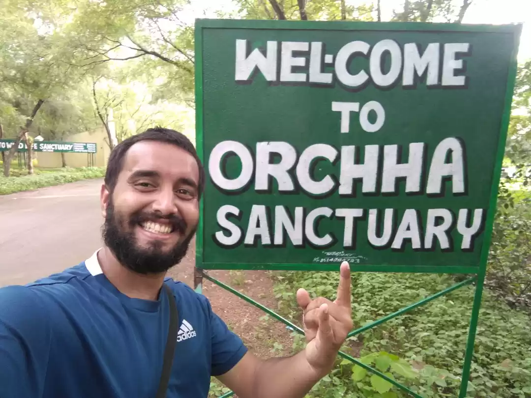 Photo of Best alternative to