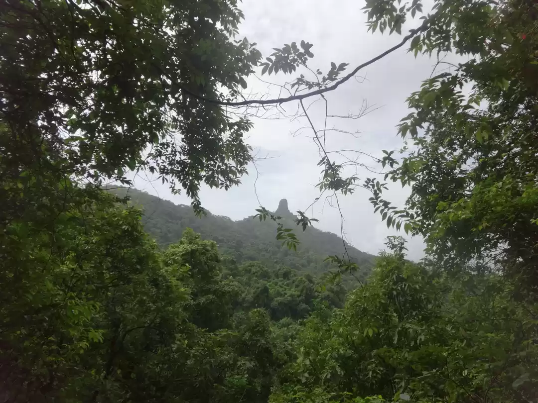 Photo of Karnala fort & bird