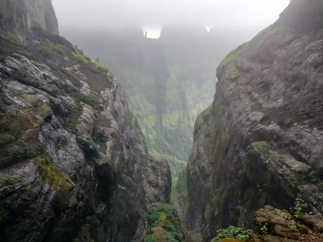 Photo of A walk in The Mounta