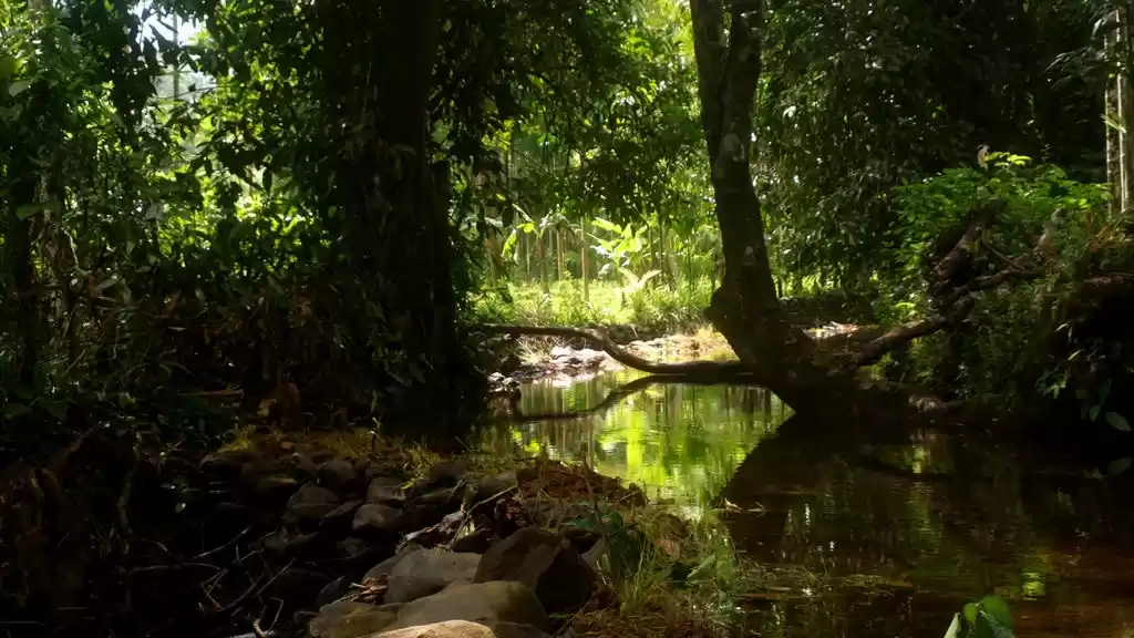 Photo of DO IT YOURSELF TREK 