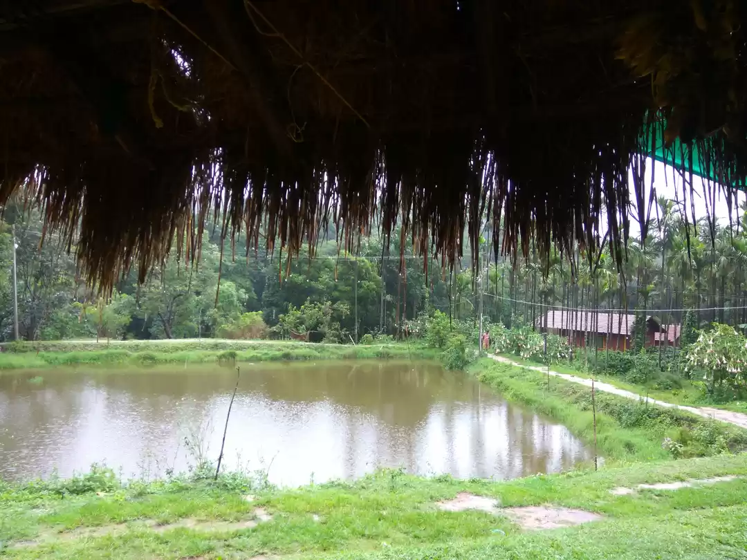 Photo of Text me Later, I am