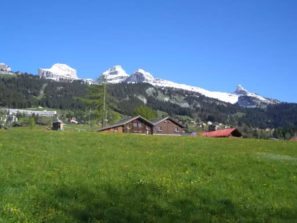 Photo of Once in a Lifetime T