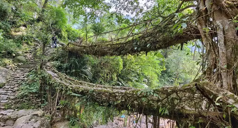 Photo of Trek To Double Decke