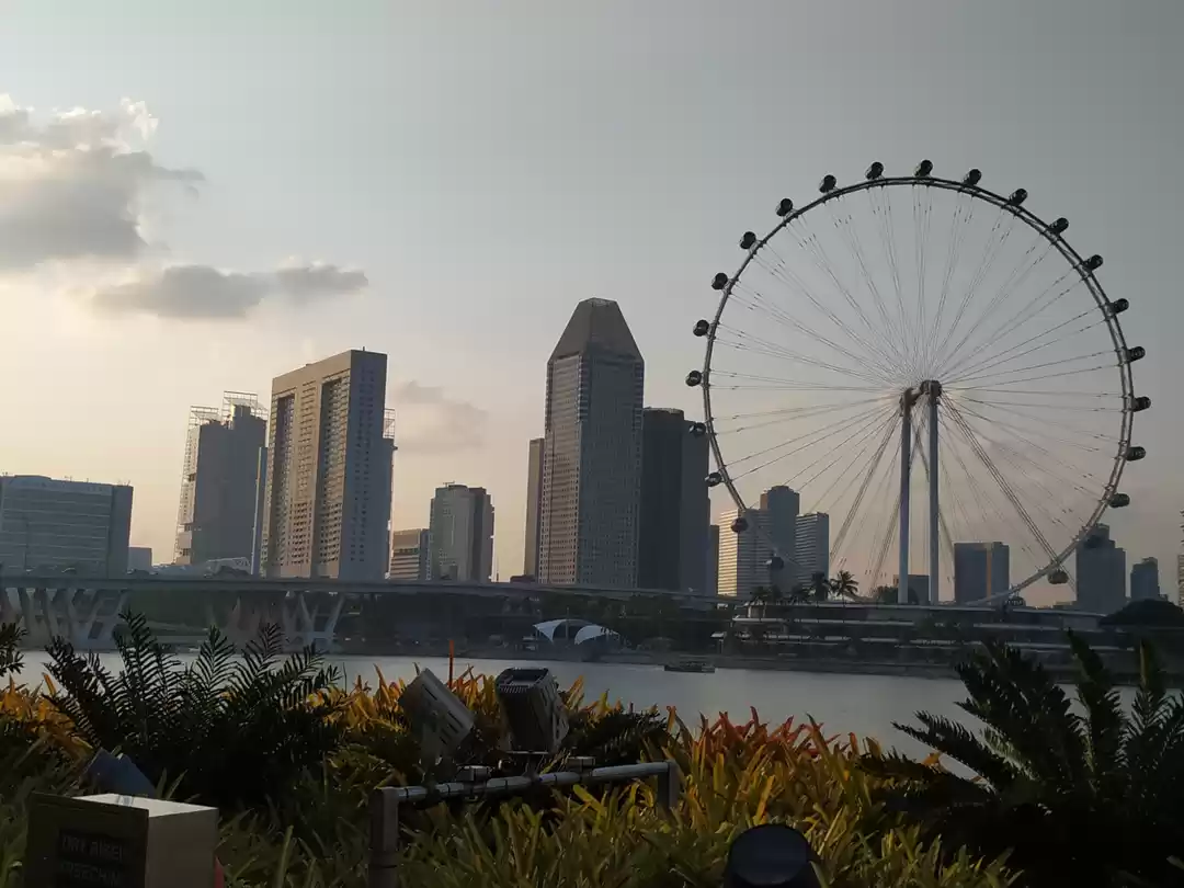 Photo of DIY Singapore in sma