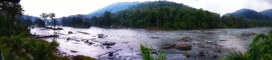 Photo of Kerala, you beauty #