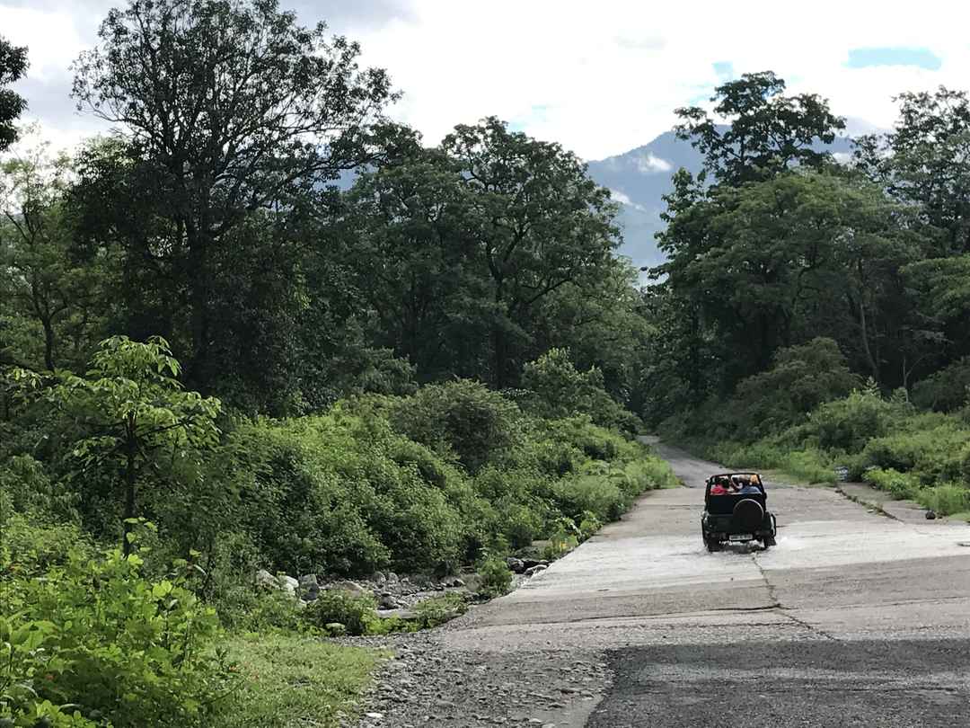 Photo of What to expect from Jim Corbett in off-season (July)