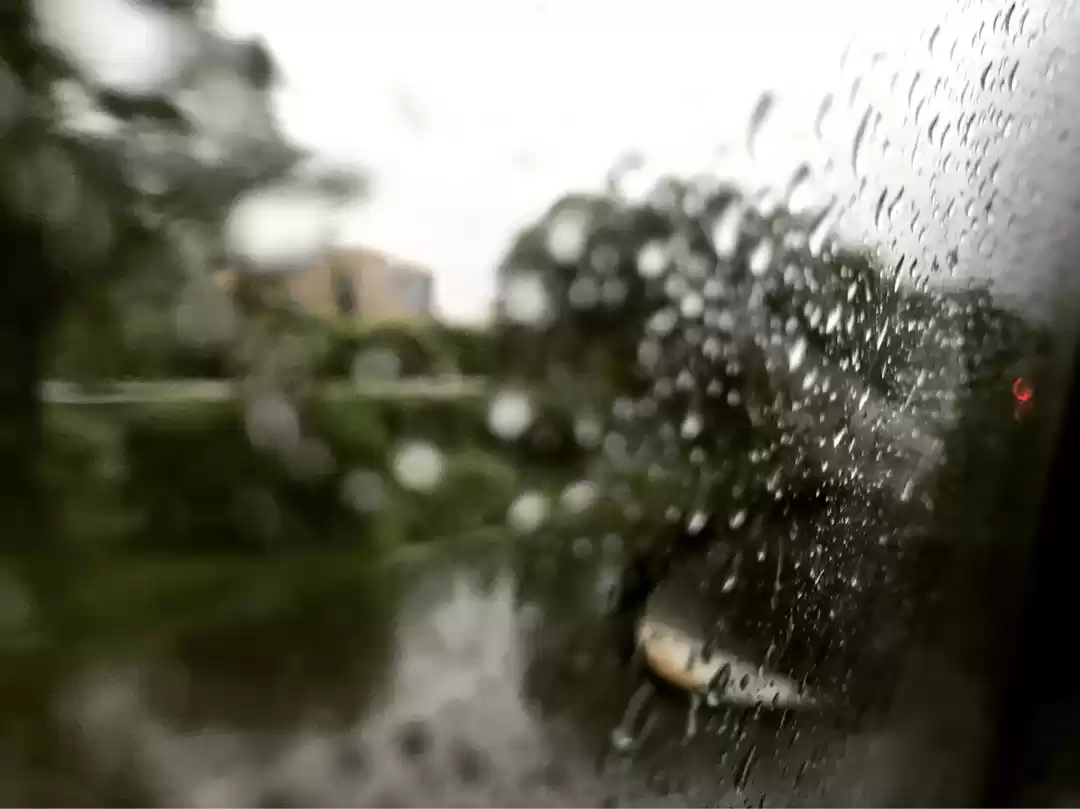 Photo of Experiencing Nainita