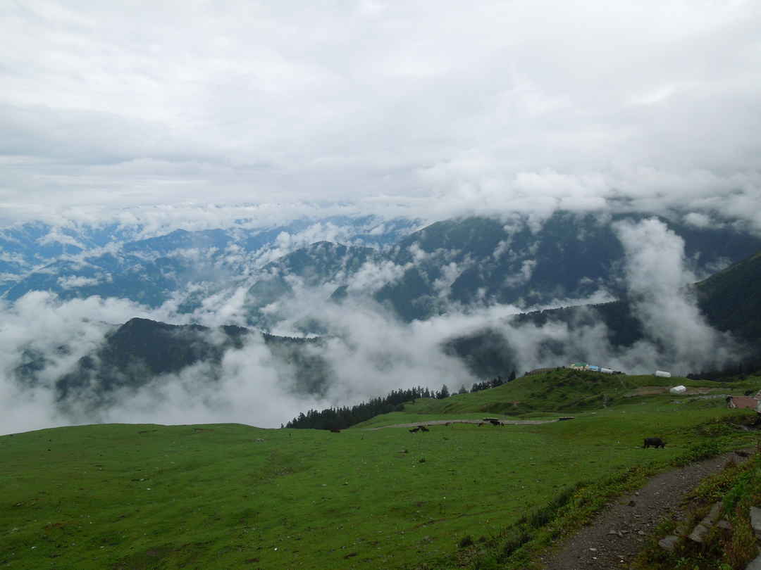 Chopta Chandrashila Trek