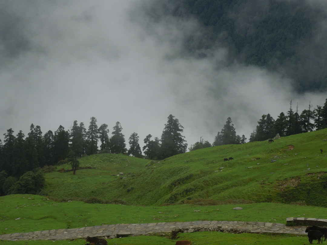 chopta tour package