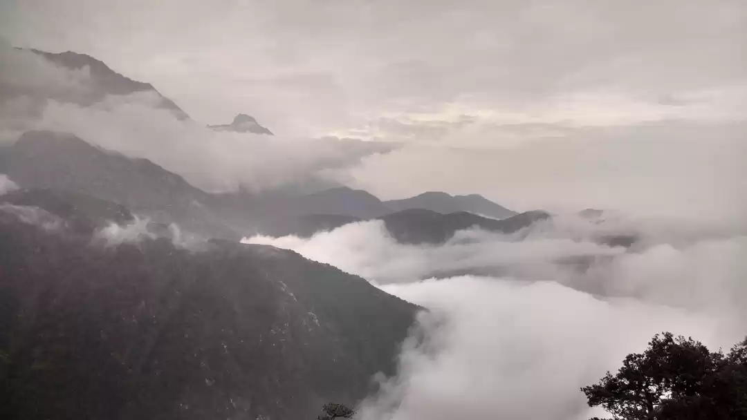 Photo of Triund - McleodGanj 