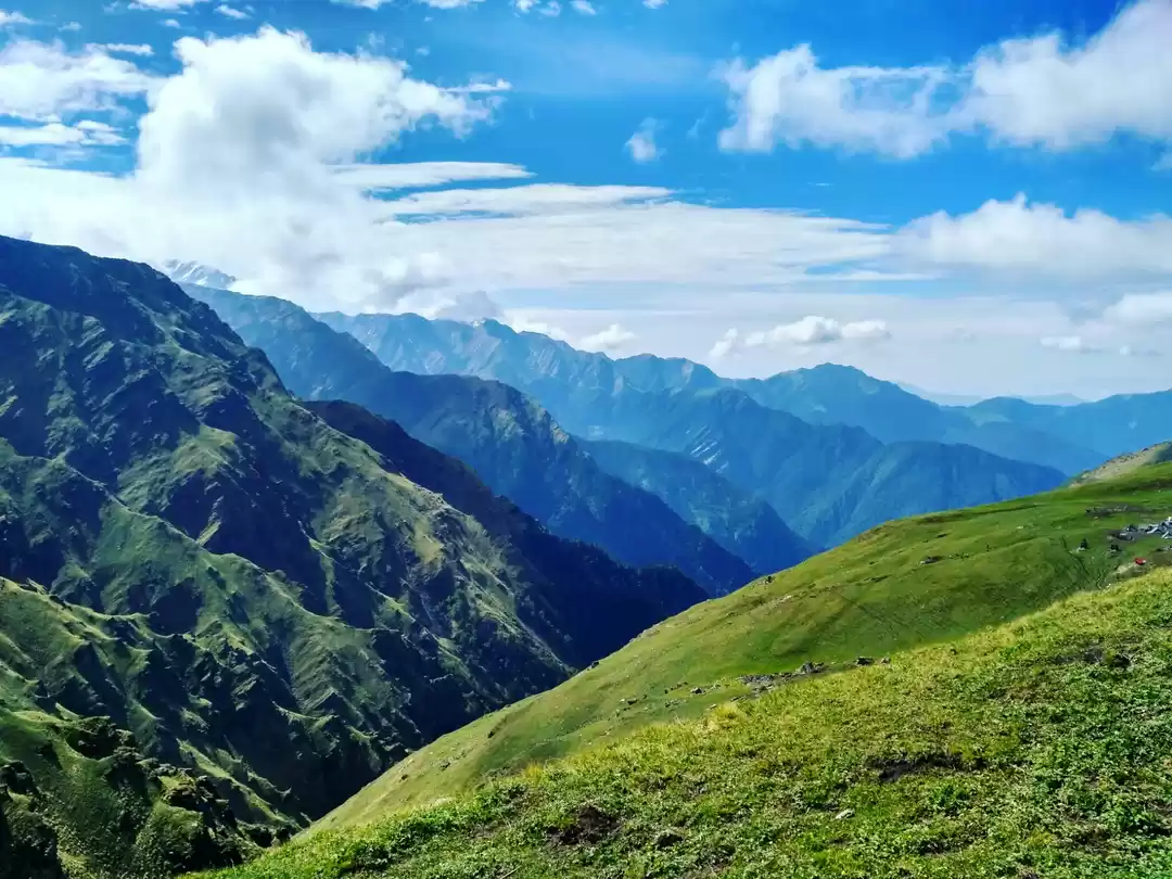 Photo of Bedini Bugyal'17