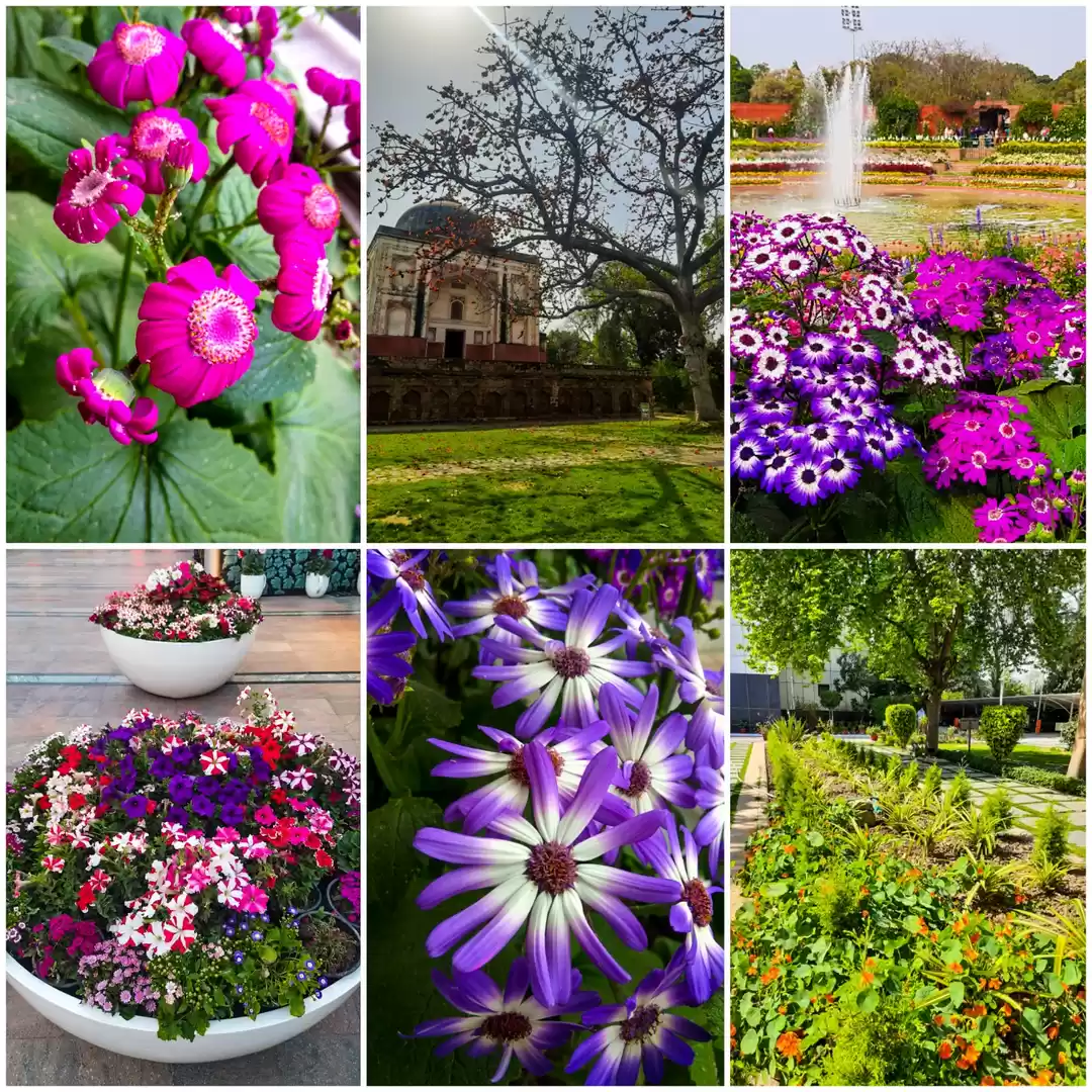 Photo of See it before they g