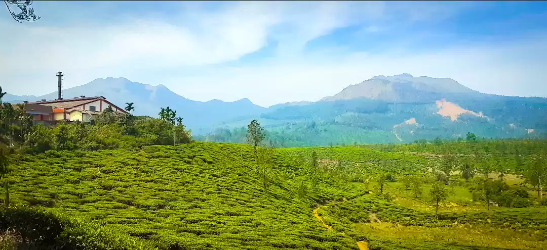 Photo of One day in Auto Rick