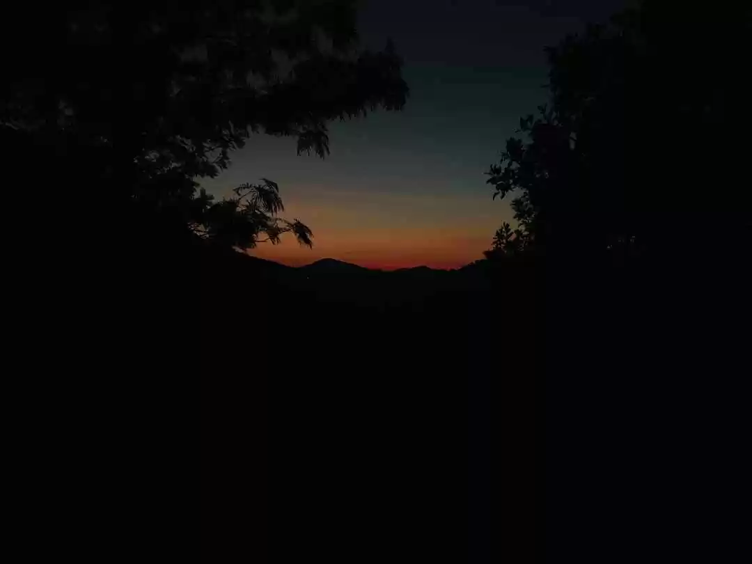 Photo of Araku Valley: The We