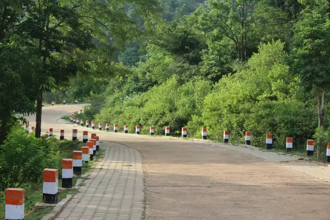 Photo of Avalabetta - We came