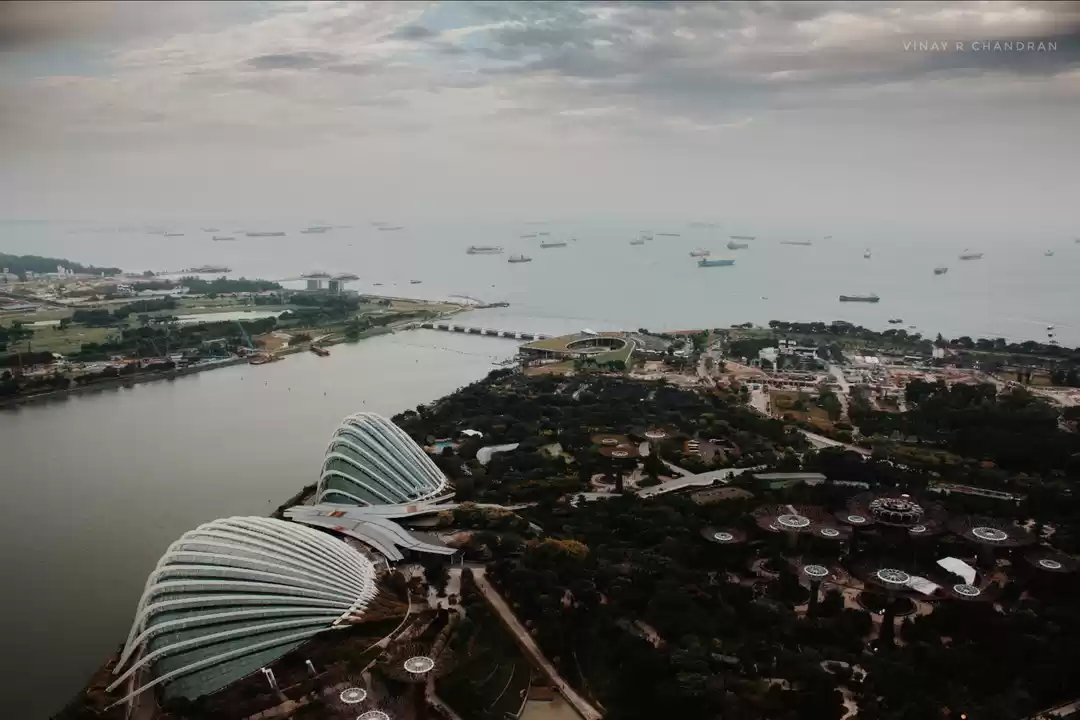 Photo of The Lion City #BestO