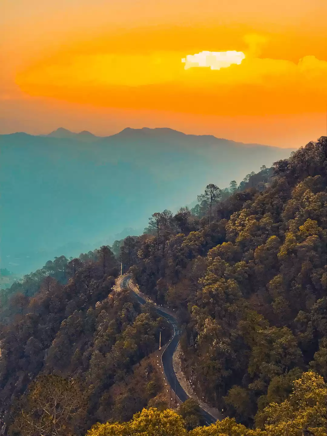 Photo of Lansdowne| NicheOver