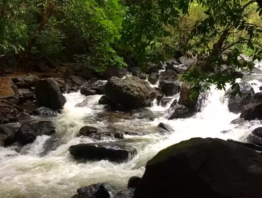 Photo of Day long itinerary f