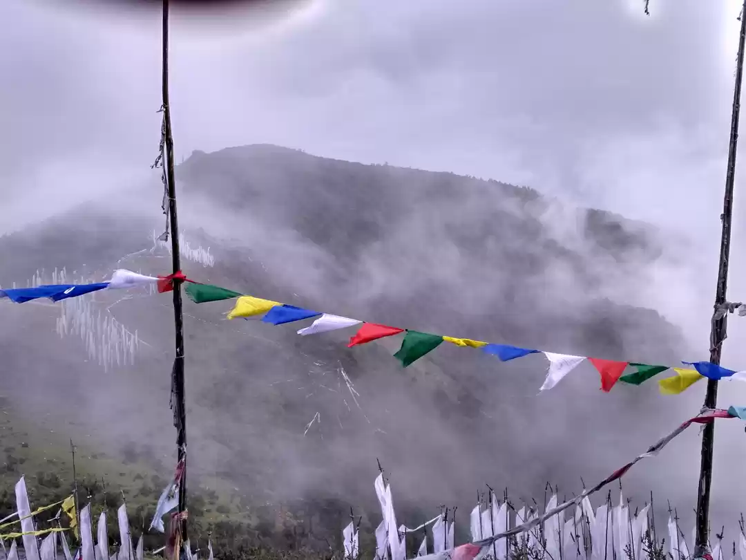 Photo of Discovering the Hima