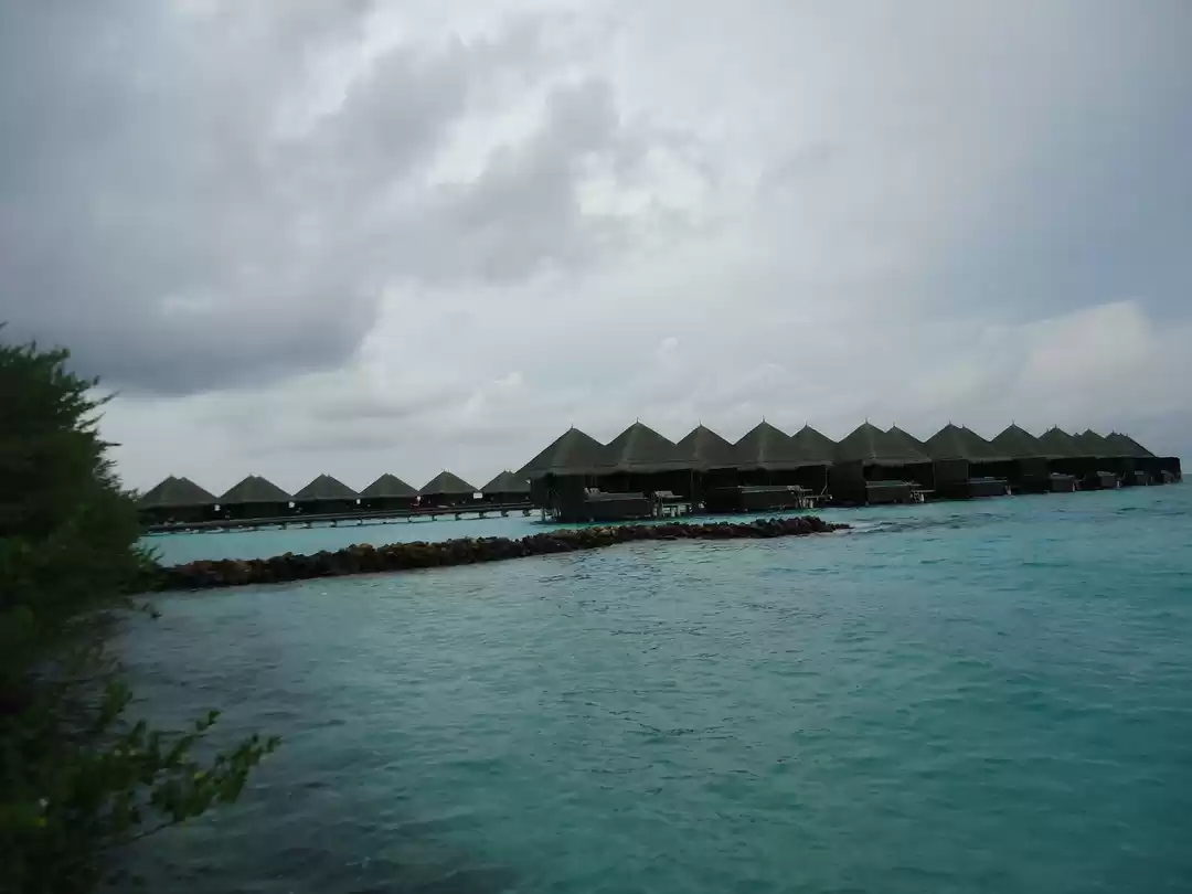 Photo of Pristine Beauty !! A