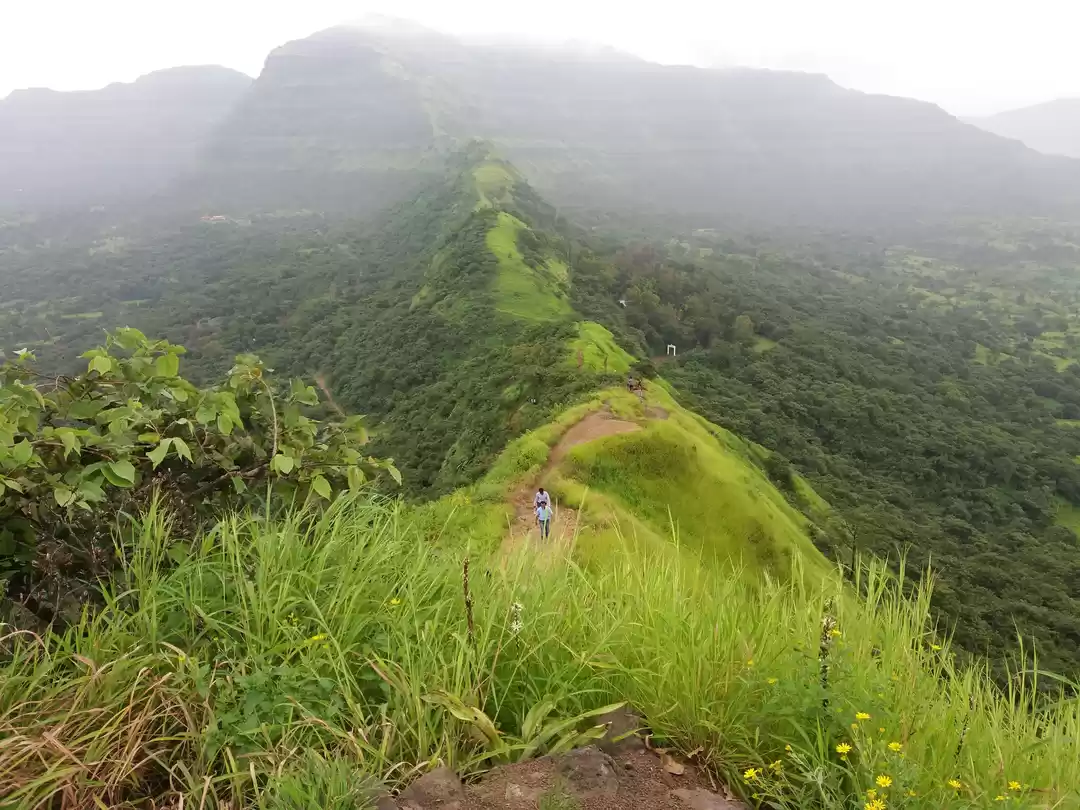 Photo of Tikona fort & Seren