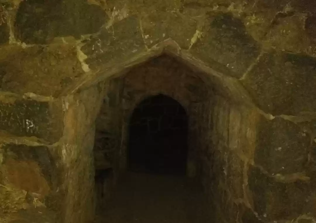 Photo of Vardhangad Fort - A