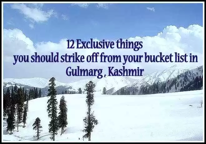 Photo of 12 Exclusive things 