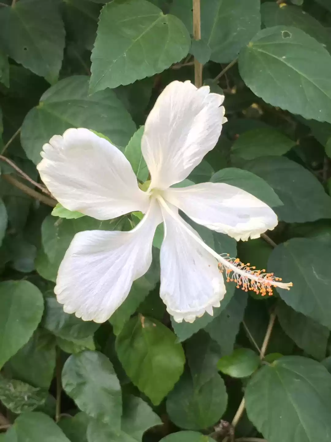 Photo of How to shoot Travel 