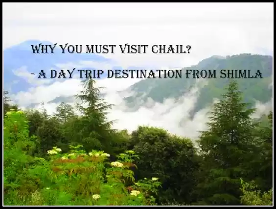 Photo of Why you must visit C