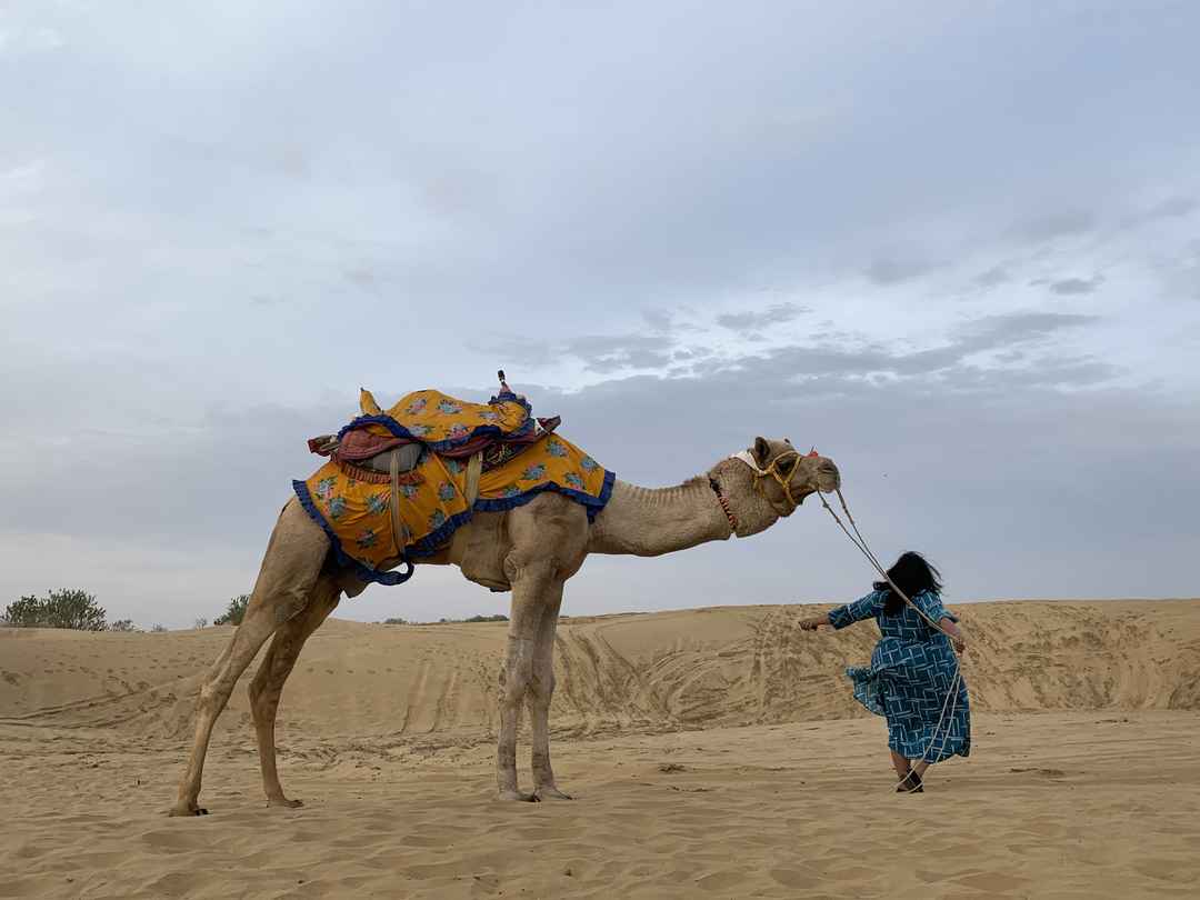 Photo of Top Things to do in Jaisalmer, Rajasthan. · MAP CAMERA TRAVEL