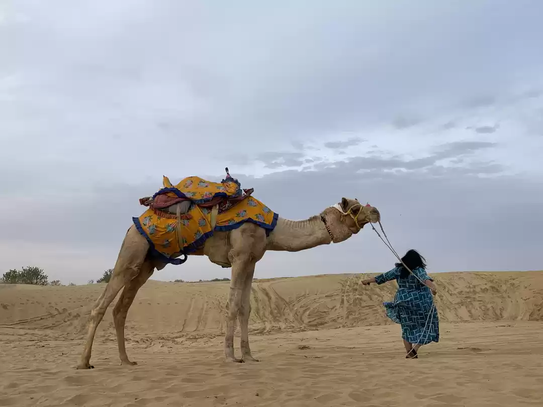 Photo of Top Things to do in 