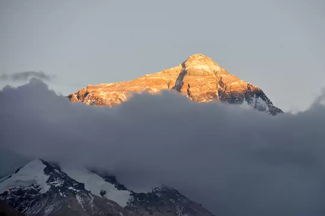 Photo of All you need to know