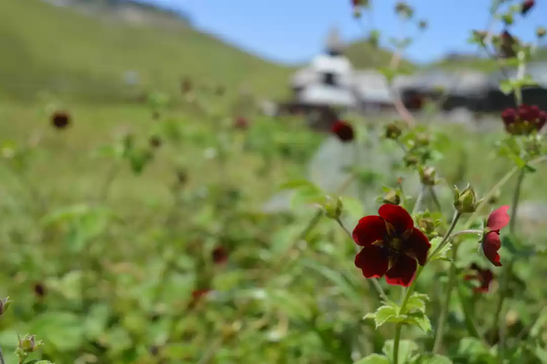 Photo of Some Mysteries are M