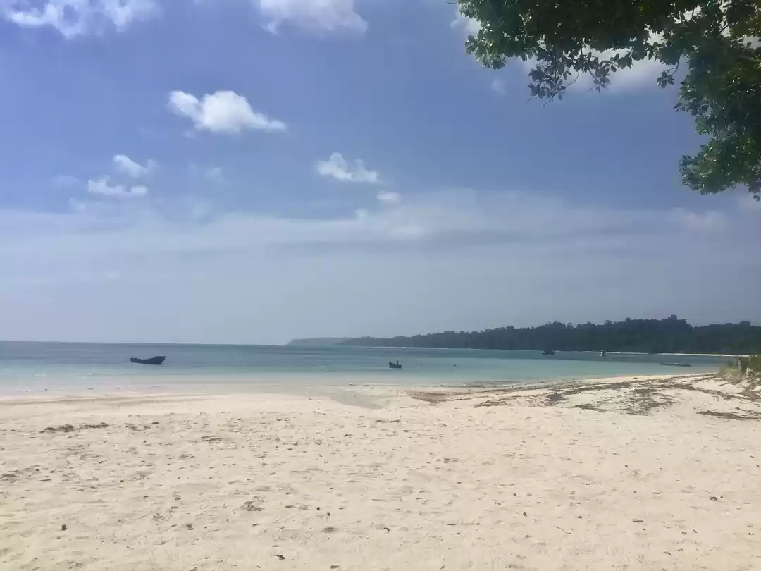 Photo of Good times & tan lin