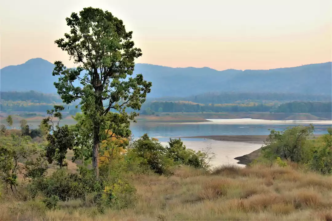 Photo of You Would Never Imag