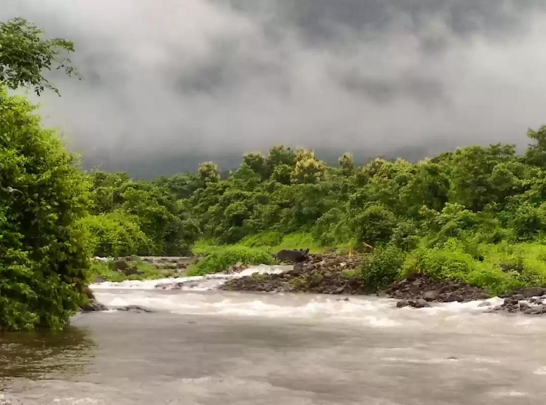 Photo of ...Because Malshej G