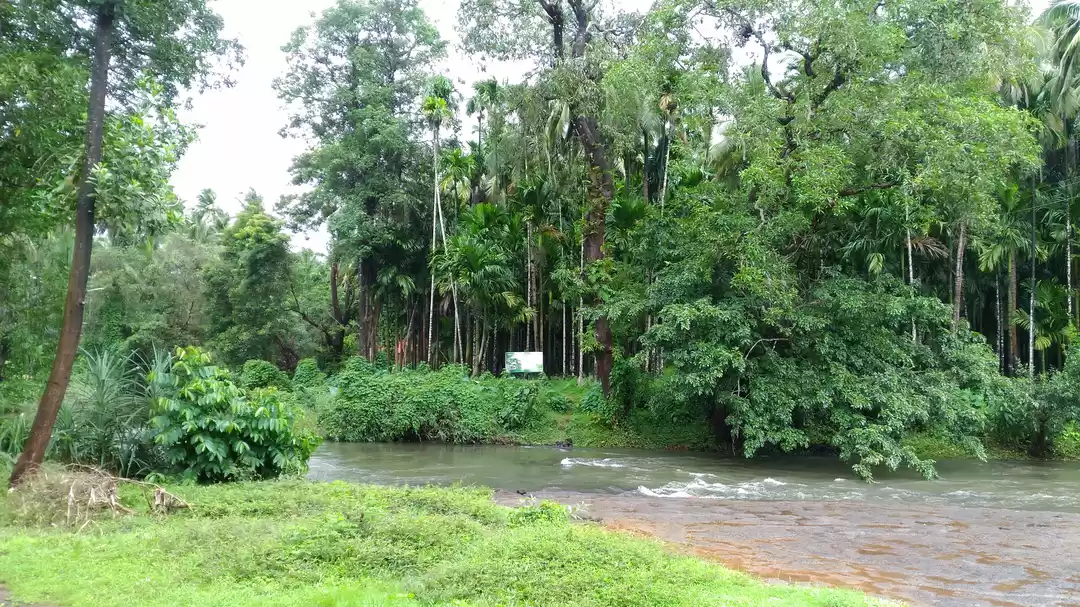 Photo of This 20,000-Year Old