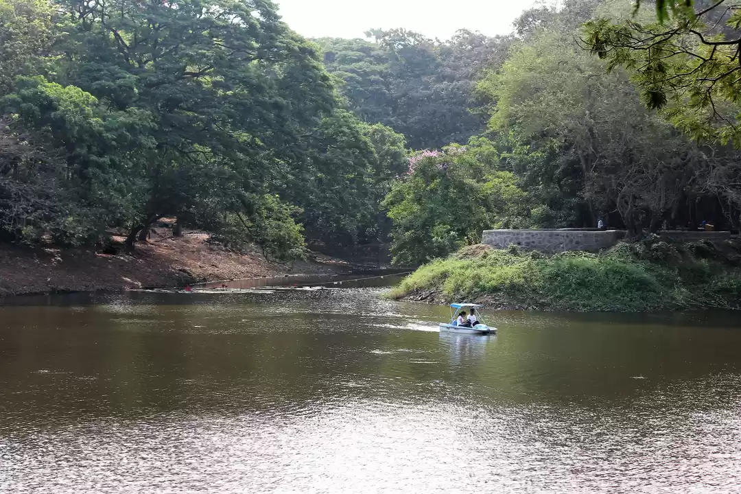 Photo of Spend A Day Camping