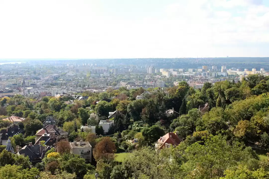 Photo of I Travelled Alone Th